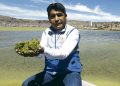 Puno: no se reúnen para remediar contaminación del Titicaca