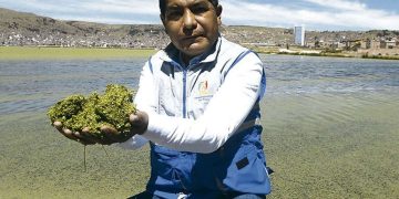 Puno: no se reúnen para remediar contaminación del Titicaca