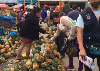 Chiclayo: precio de frutas disminuye en mercado Moshoqueque por estado en que llegan
