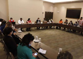 Fronteras terrestres de Tacna y Tumbes se reabrirían el 1 de diciembre, prevé Mincetur