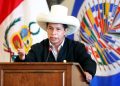 Pedro Castillo convocará a partidos a dialogar este miércoles 29 de diciembre