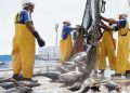 Piura: pesca y minería no metálica mejoraron indicadores sociales de Sechura