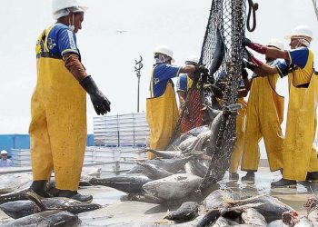 Piura: pesca y minería no metálica mejoraron indicadores sociales de Sechura