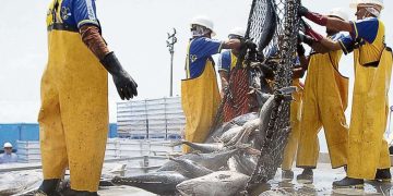 Piura: pesca y minería no metálica mejoraron indicadores sociales de Sechura