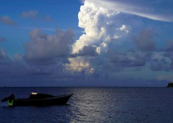 Tonga: habitantes huyen del tsunami tras la erupción del volcán