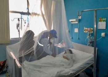 dengue-chincha-cap