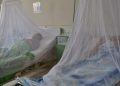 piura-dengue-cap