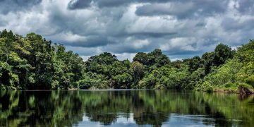 amazonia-peru-cap