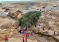 Daños y destrucción en la variante de la Panamericana Sur en Moquegua tras el colapso de la vía