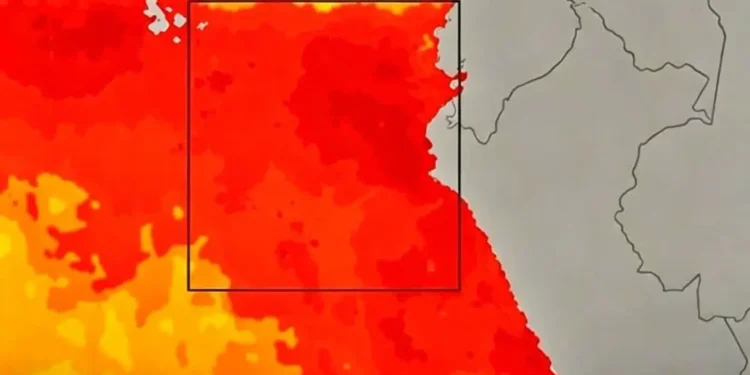 Mapa satelital de anomalía térmica del mar peruano y la región Niño 1+2 para nota de clima