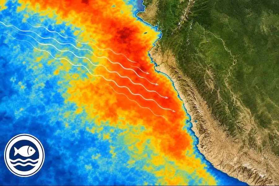 Imagen satelital de la temperatura superficial del mar en la costa peruana y el Fenómeno El Niño