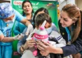 Personal de salud aplicando una vacuna a un niño durante una campaña nacional del Minsa en el Perú